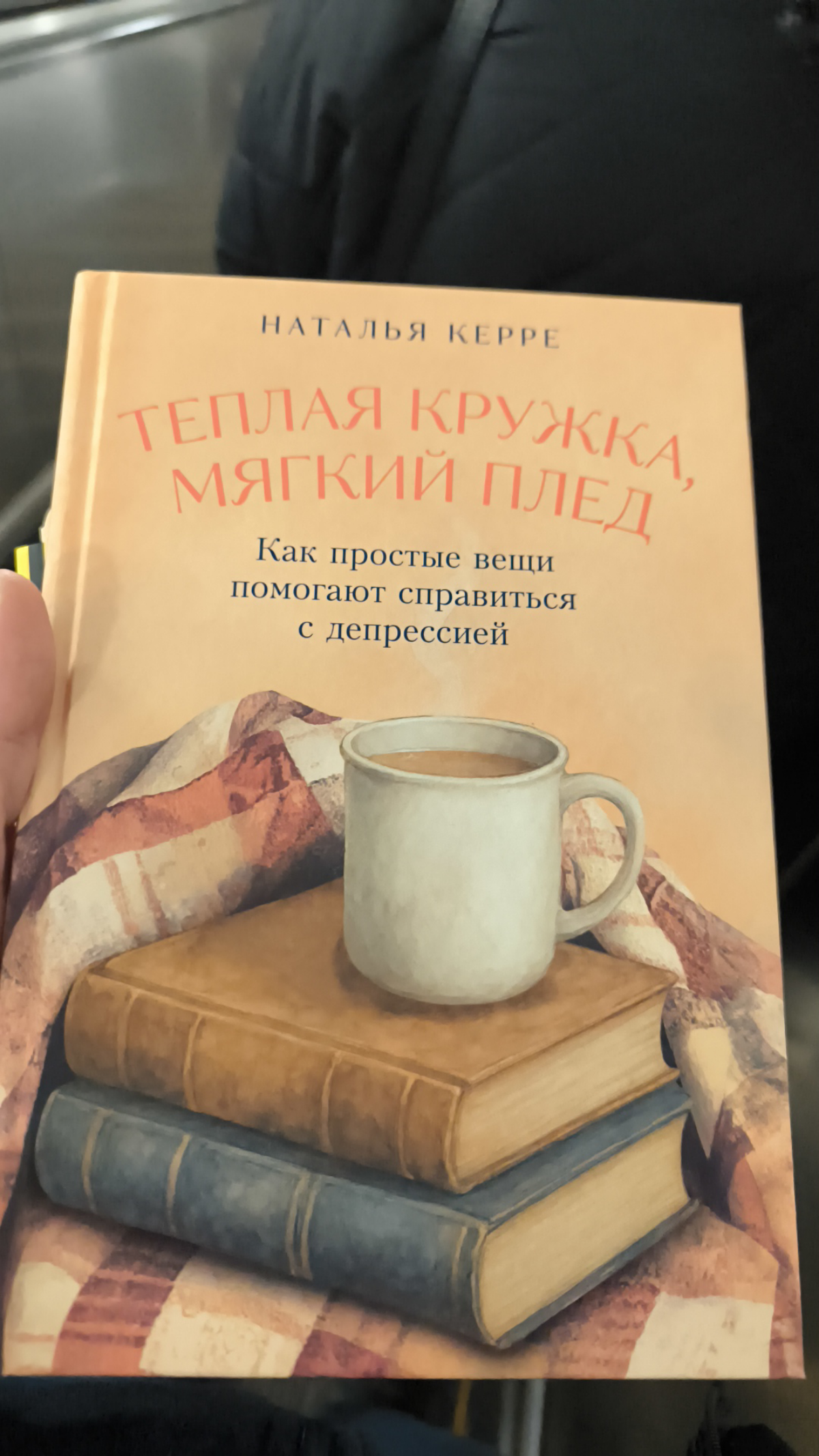 Презентация книги Натальи Карре «Тёплая кружка, мягкий плед» | Сетка — социальная сеть от hh.ru
