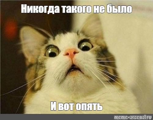 Вот вы не знаете, наверное, а я вам расскажу.. | Сетка — социальная сеть от hh.ru
