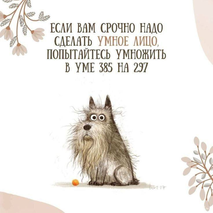 Зачем я вообще тут? | Сетка — социальная сеть от hh.ru