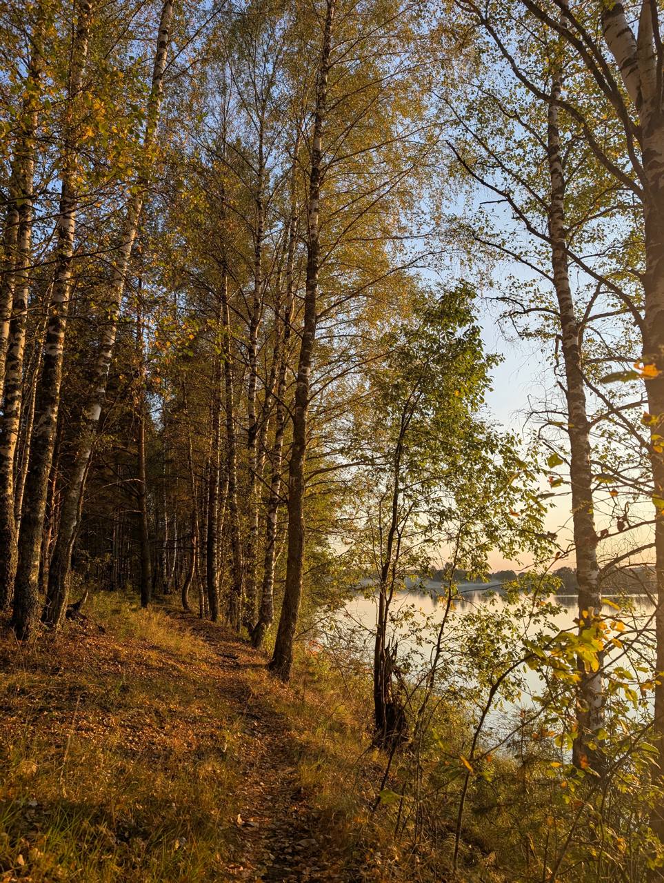🍁Осенней красоты пост
В суете рабочих будней поймали на камеру осенние пейзажи | Сетка — социальная сеть от hh.ru