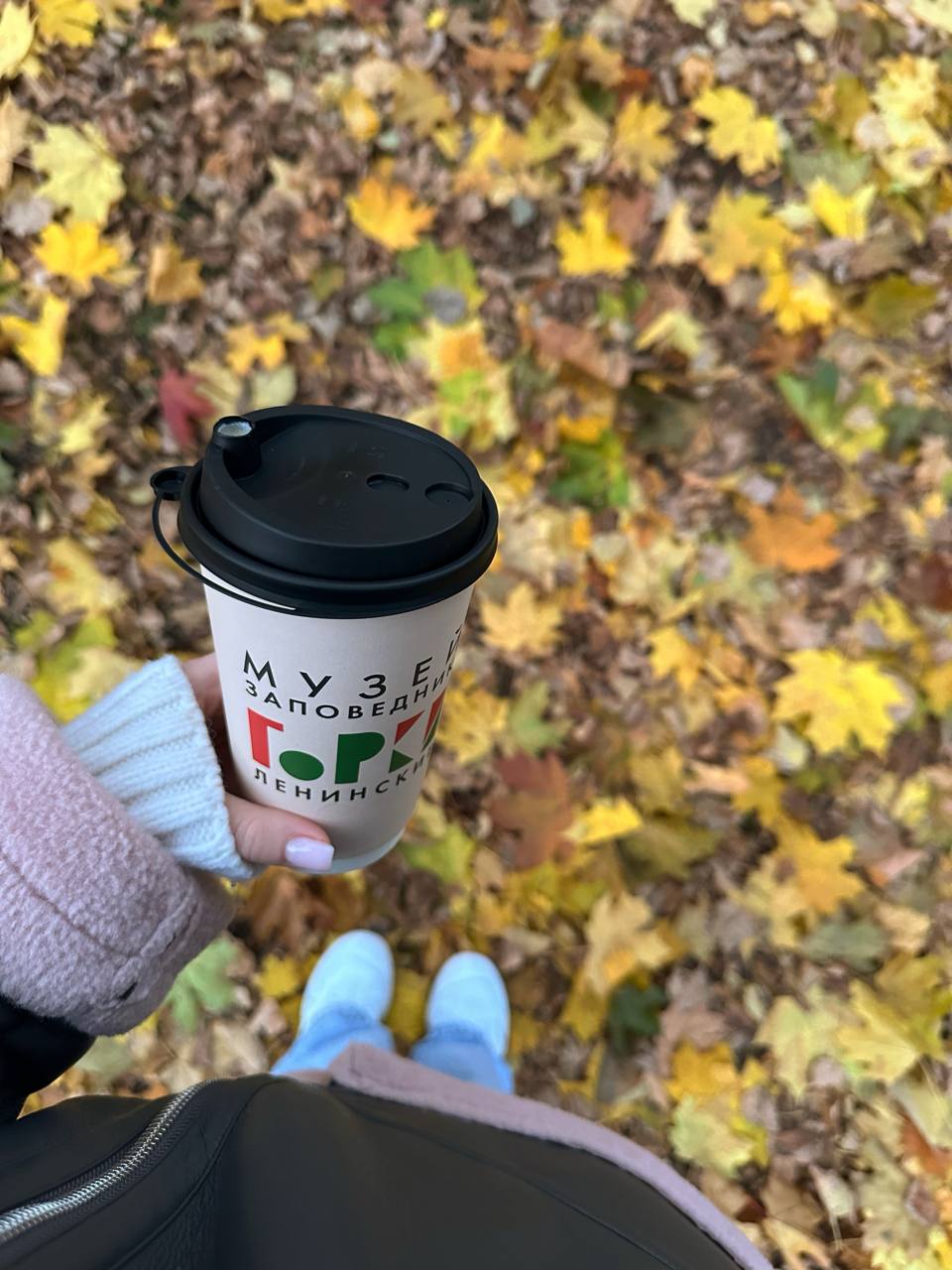 🍁Осенней красоты пост
В суете рабочих будней поймали на камеру осенние пейзажи | Сетка — социальная сеть от hh.ru