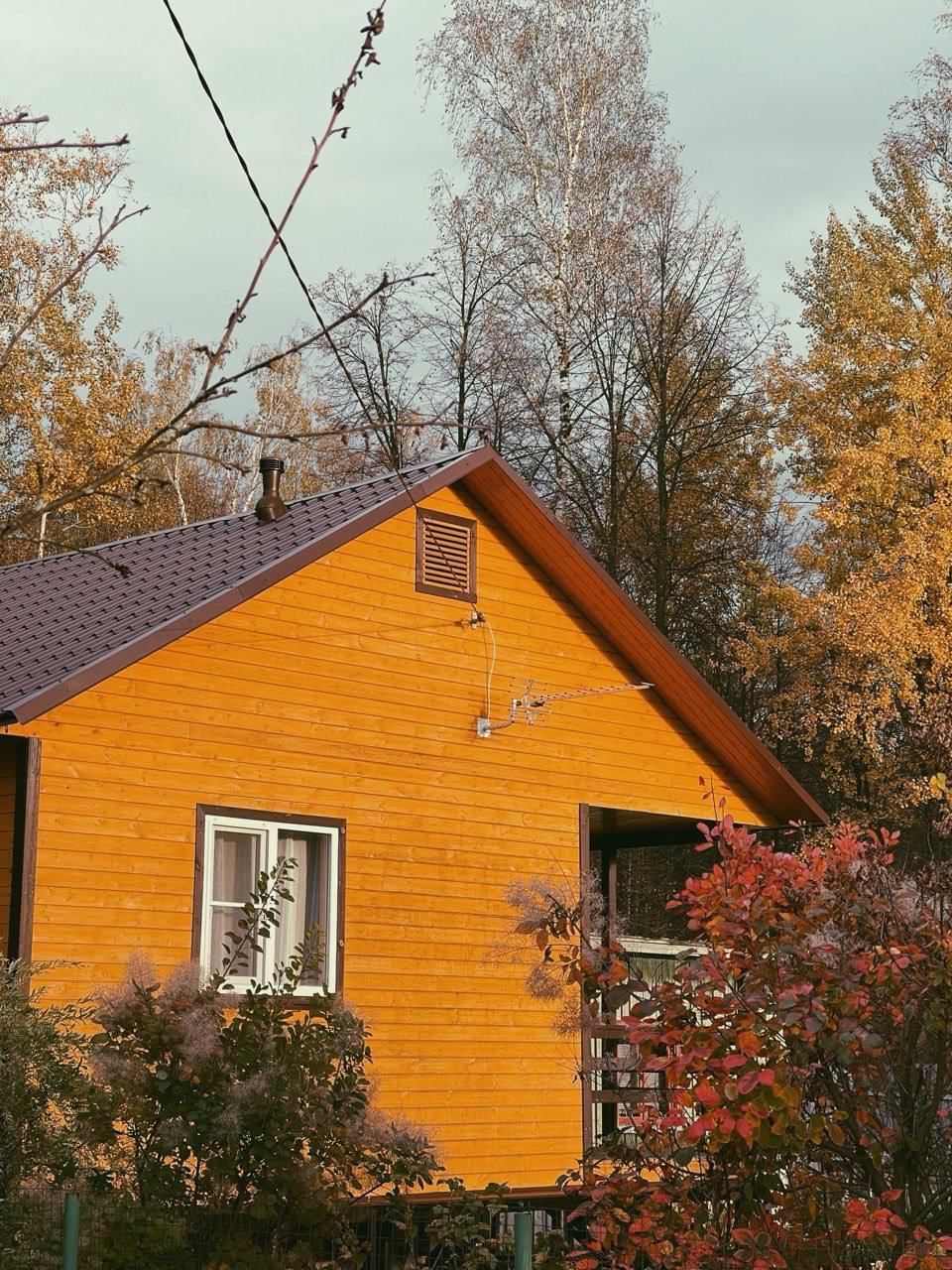 🍁Осенней красоты пост
В суете рабочих будней поймали на камеру осенние пейзажи | Сетка — социальная сеть от hh.ru