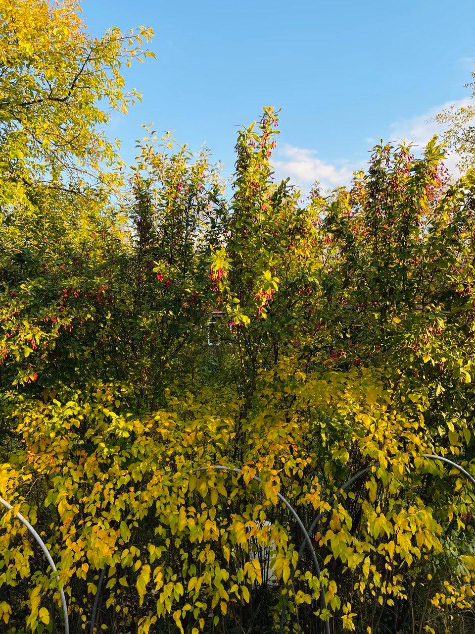 🍁Осенней красоты пост
В суете рабочих будней поймали на камеру осенние пейзажи | Сетка — социальная сеть от hh.ru