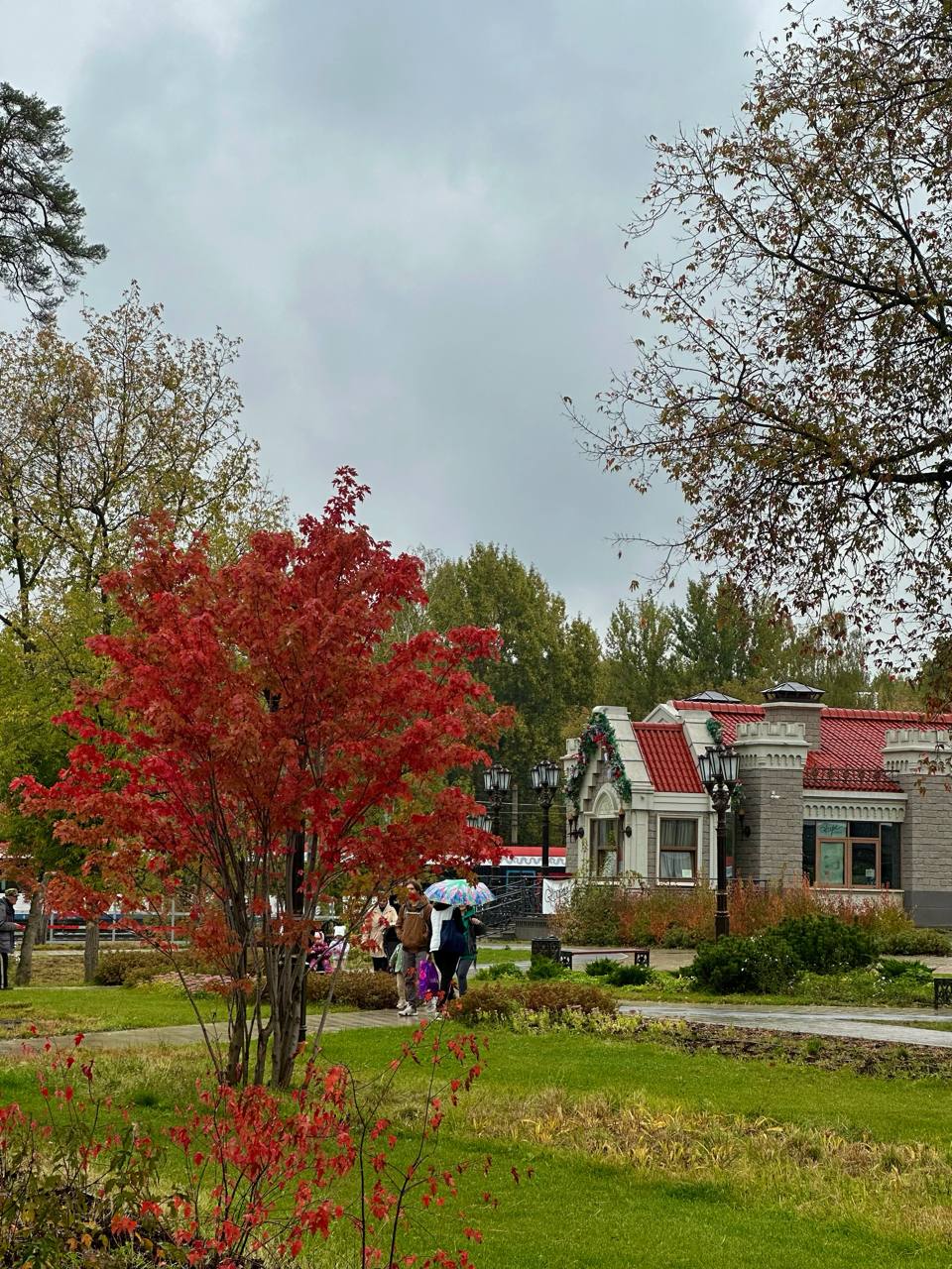 🍁Осенней красоты пост
В суете рабочих будней поймали на камеру осенние пейзажи | Сетка — социальная сеть от hh.ru