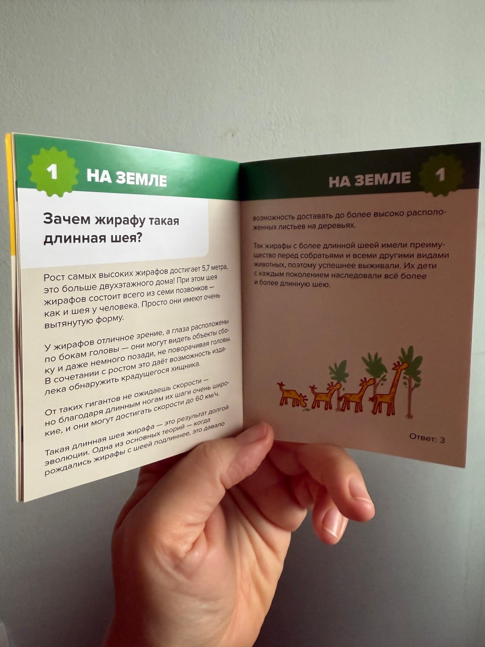 Улучшаем текст для детей
Каждую пятницу, мы с коллегами ходим в канал Как стать копирайтером, чтобы потренировать навык работы с текстом ©️ Сегодня у нас задача со звездочкой, потому что с текстом в ц... | Сетка — социальная сеть от hh.ru