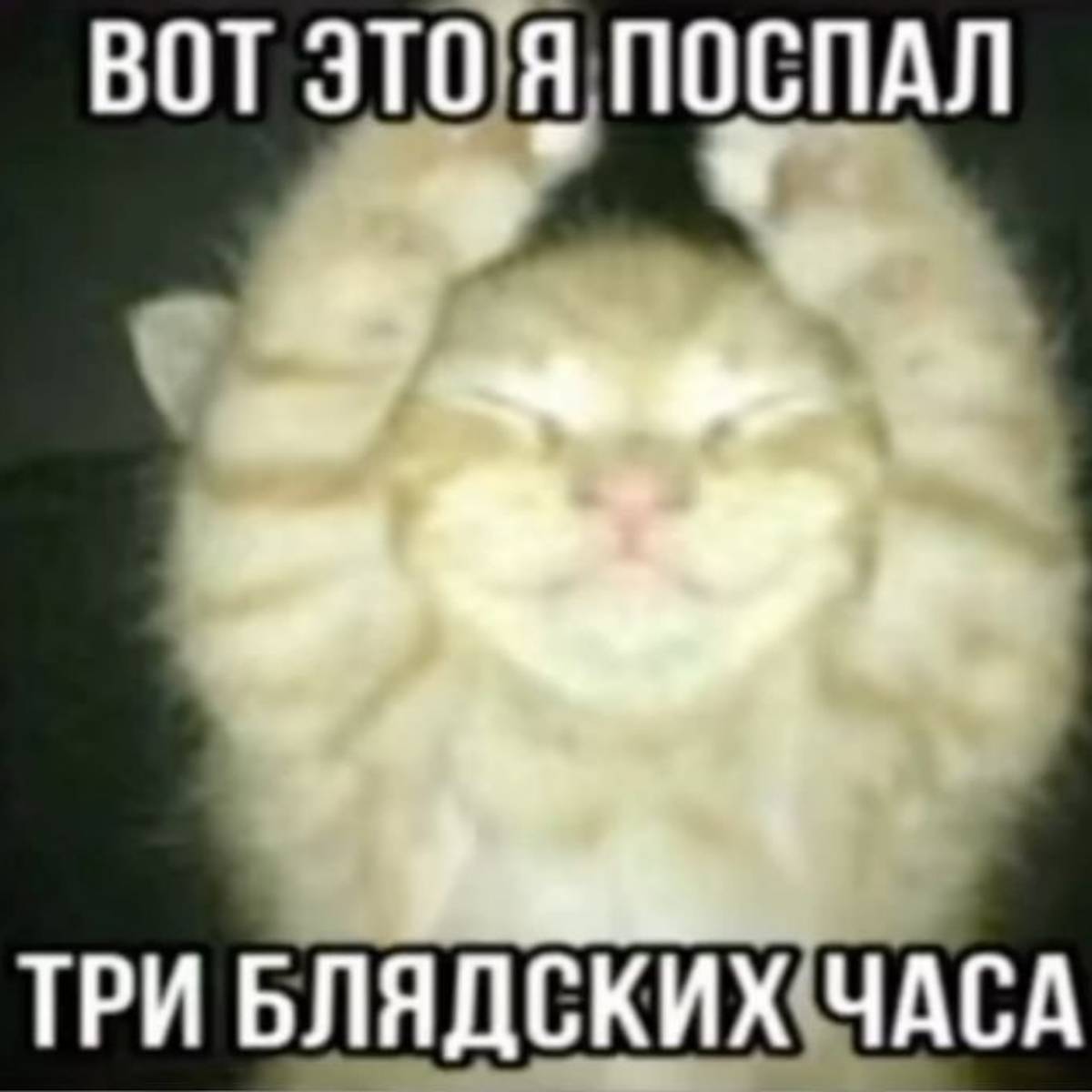Марина Митюкова