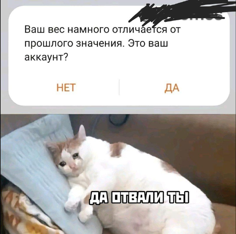 #IT
😂 ПМ 🛍 Другие каналы
В этом посте были ссылки, но мы их удалили по правилам Сетки | Сетка — социальная сеть от hh.ru