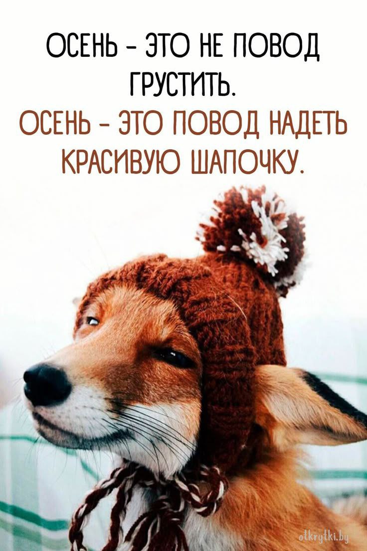Доброе утро, добрые люди 🍁
Какие у вас планы на выходные?
У меня наполеоновские😂
Но вот сижу и думаю - а может лучше заняться фигнёй?
Как вы к фигне относитесь? 🤣 | Сетка — социальная сеть от hh.ru