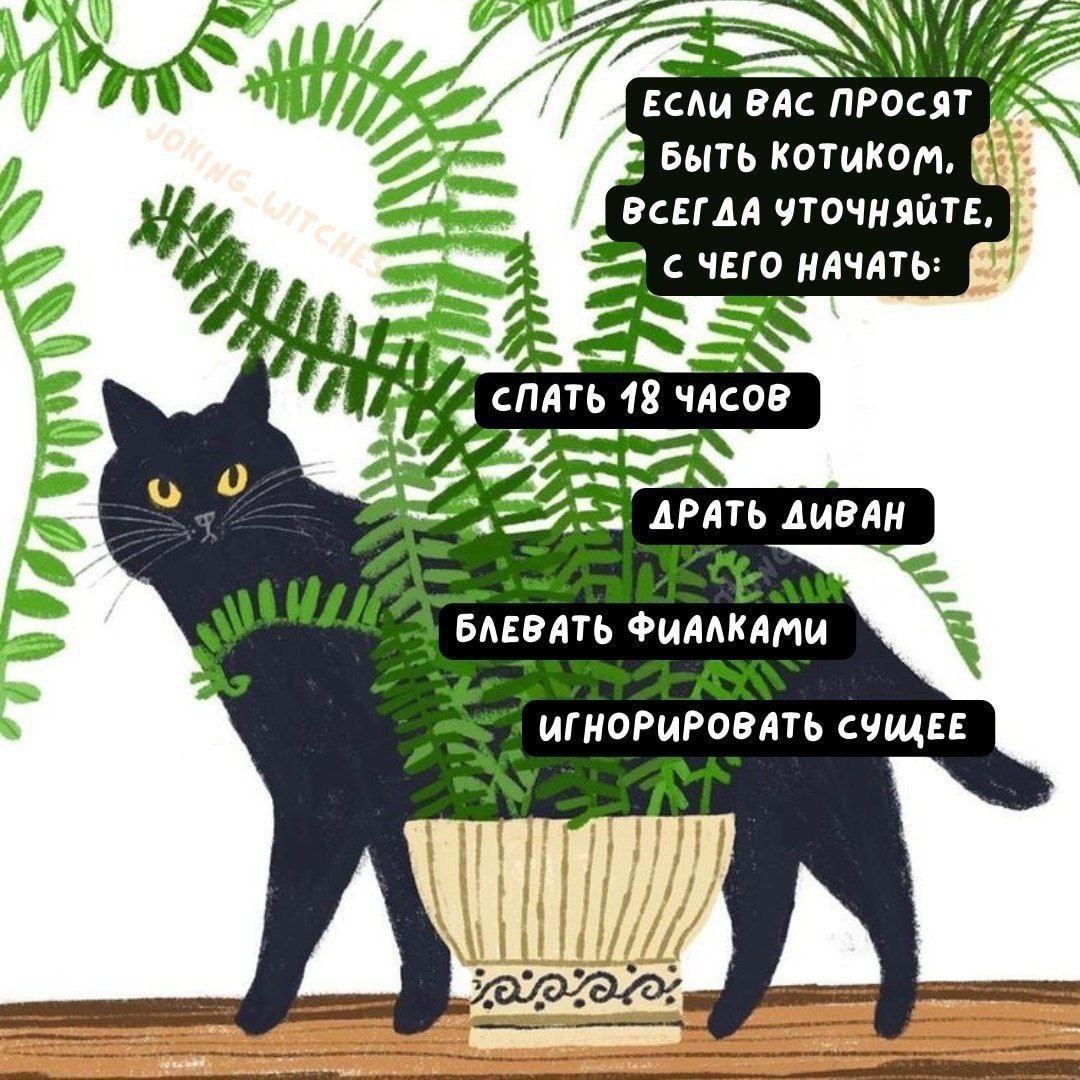 Одно не идет без другого 😂😂
#Юмор@poldner #Коты@poldner | Сетка — социальная сеть от hh.ru