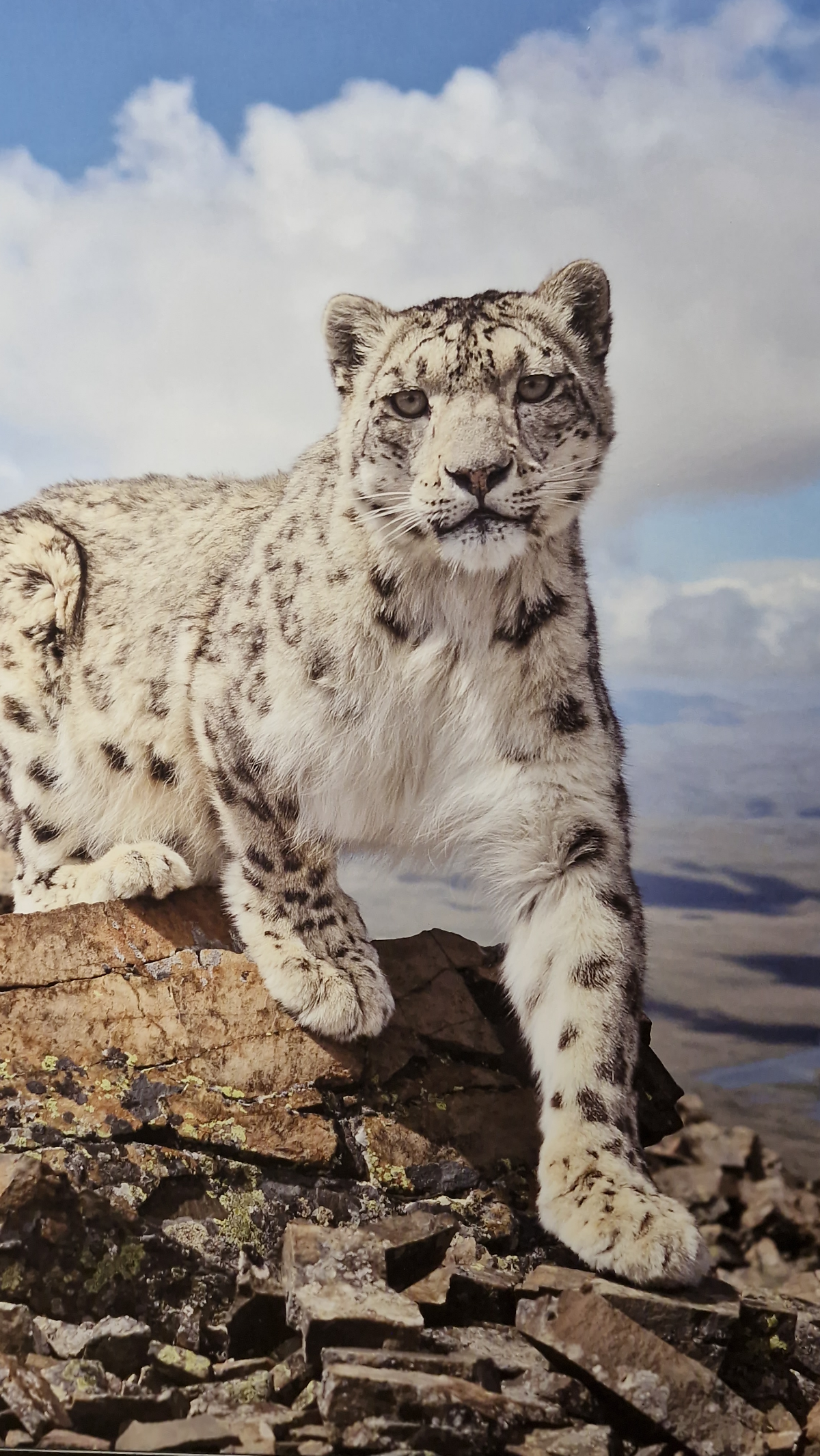 У России очень сильный маркетинг. Я сейчас не шучу, а просто констатирую факт как маркетолог с опытом 15+ лет. Это сильнейший маркетинг в мире | Сетка — социальная сеть от hh.ru