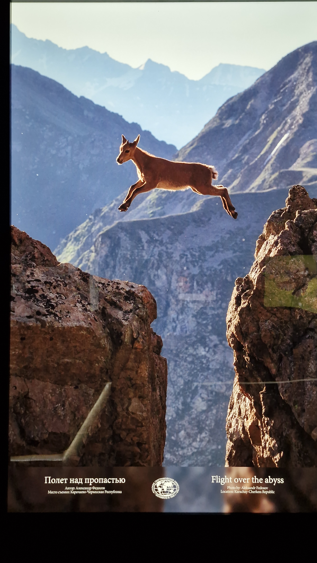 У России очень сильный маркетинг. Я сейчас не шучу, а просто констатирую факт как маркетолог с опытом 15+ лет. Это сильнейший маркетинг в мире | Сетка — социальная сеть от hh.ru