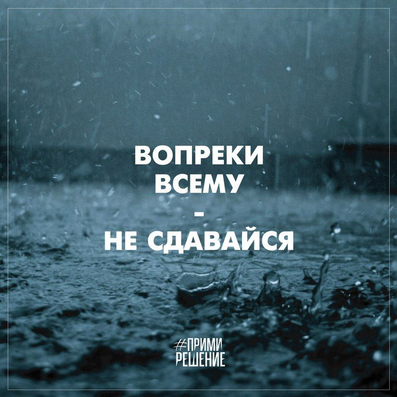 Никогда не сдавайся. Вот почему | Сетка — социальная сеть от hh.ru