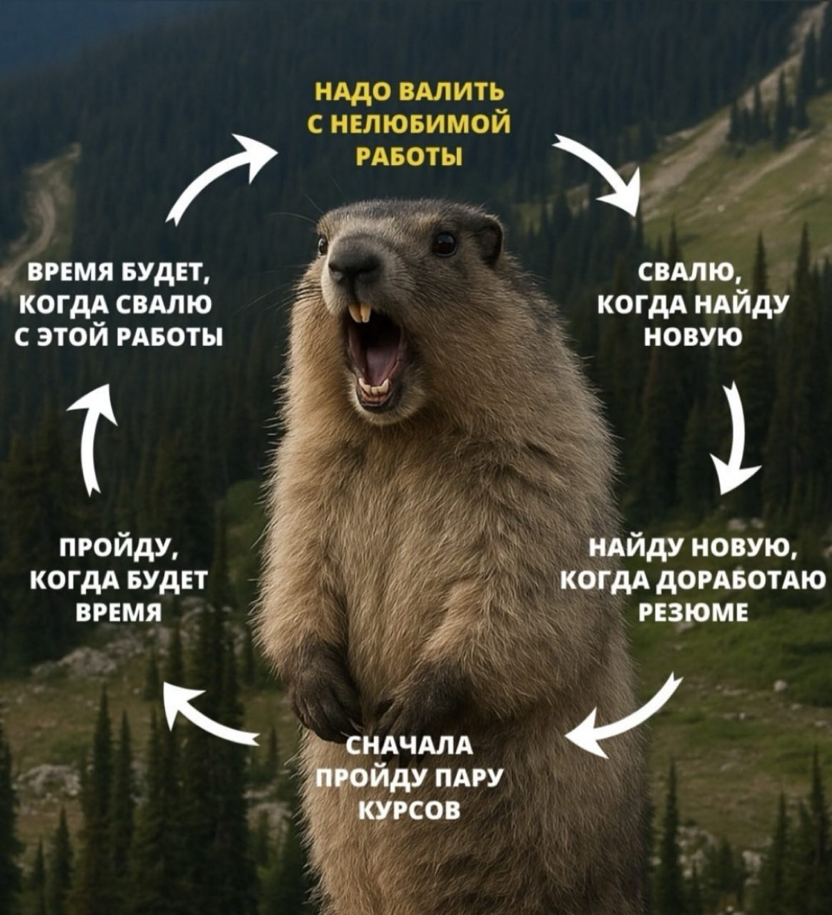 Есть тут любители? | Сетка — социальная сеть от hh.ru