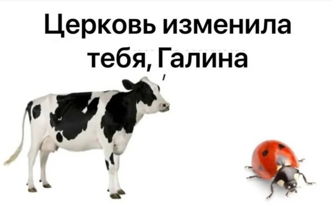 День 34
🔤 выспалась
🔤 готовила
🔤 занималась французским
🔤 мнооого болтала | Сетка — социальная сеть от hh.ru