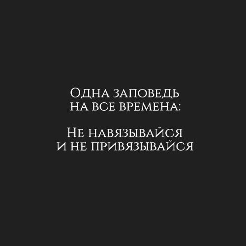 @statusday #БизнесМотивация | Сетка — социальная сеть от hh.ru