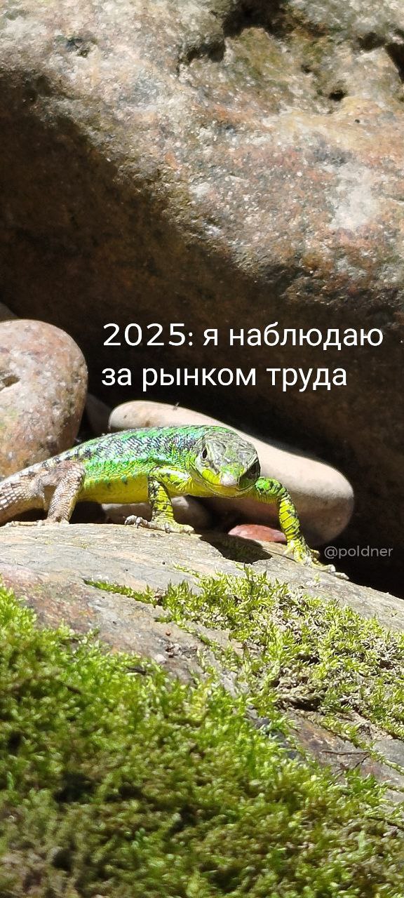 ❤️ Благодарю любимого клиента Валентине за интересный пост от Романа Тышковского, The Edgers, который она прислала мне. Делюсь с вами | Сетка — социальная сеть от hh.ru