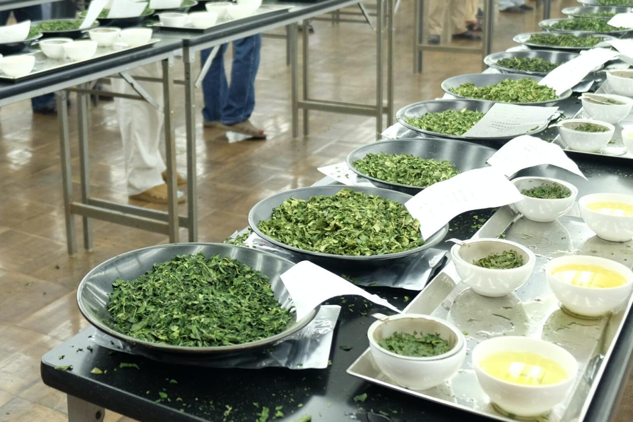 Коллеги из Global Japanese Tea Association опубликовали обзор чайных новостей за минувший сентябрь. Самым интересным японским чайным событием стал, безусловно, 79-й национальный конкурс японского чая. | Сетка — социальная сеть от hh.ru