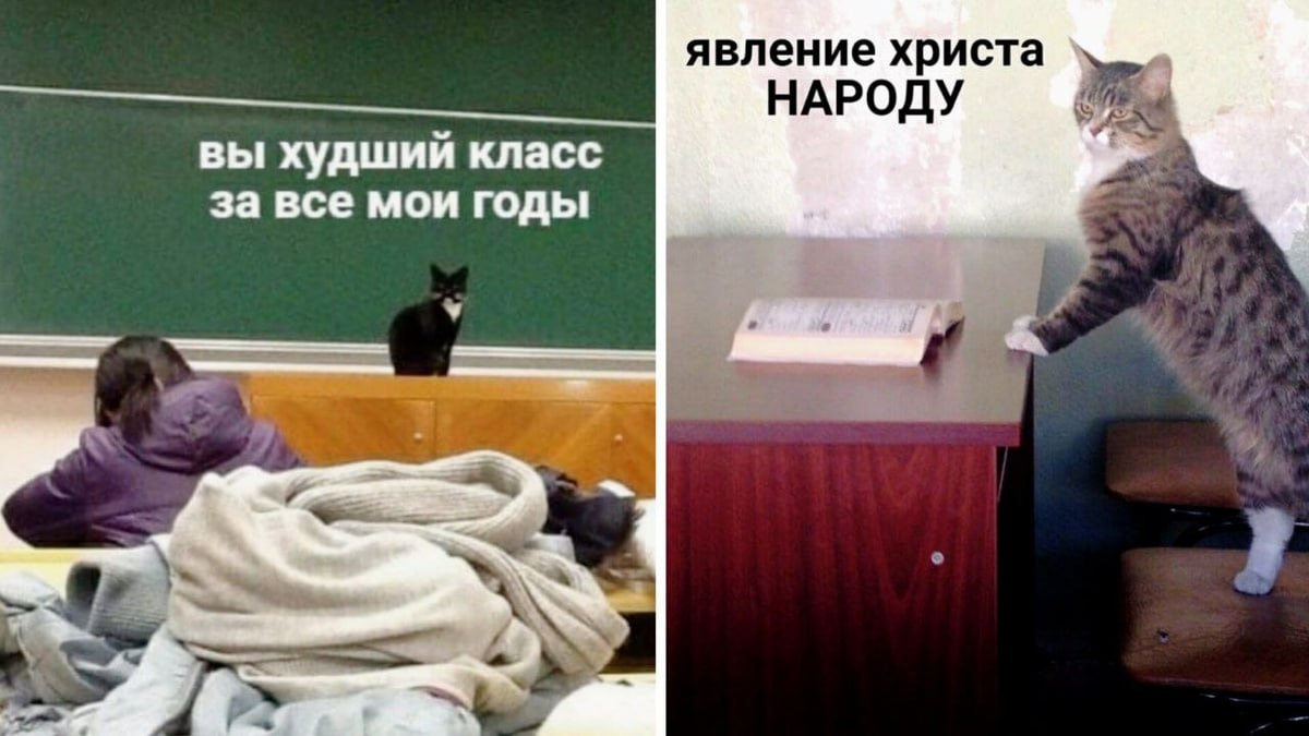 5 октября в России отмечается День учителя
Труд учителя — это не просто работа, а истинное призвание, наполненное терпением, заботой и вдохновением | Сетка — социальная сеть от hh.ru