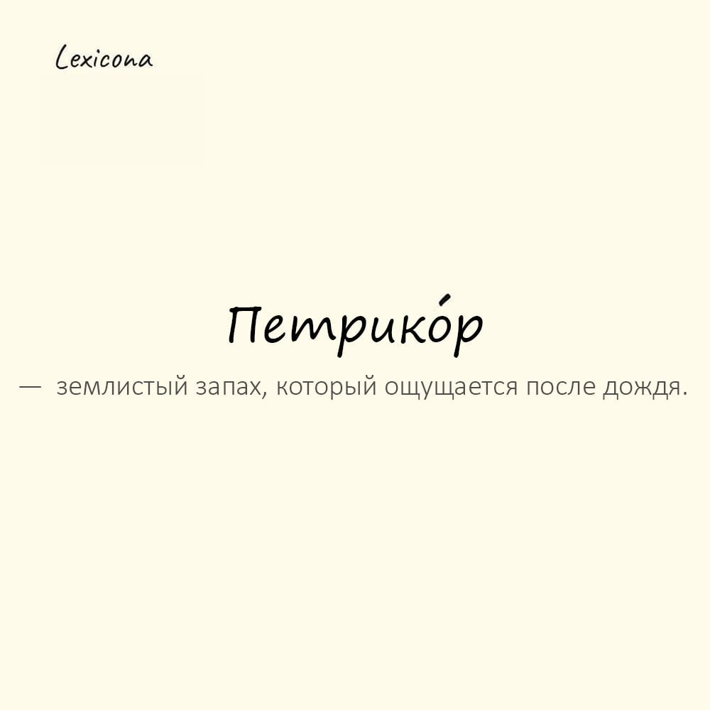 Петрикор — землистый запах, который ощущается после дождя🌧️
Пример употребления:
Его реноме непревзойдённого мастера страдало от скандалов😞.
#Петрикор #Запах #Дождь #Природа #Земля #Аромат #Освежение | Сетка — социальная сеть от hh.ru