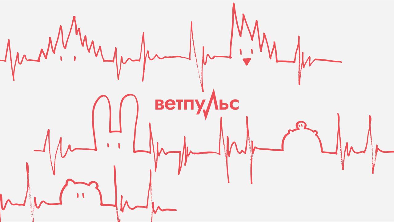 Думаю милая история получилась | Сетка — социальная сеть от hh.ru