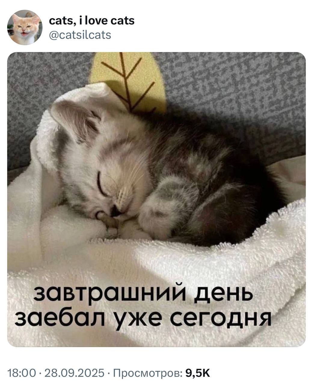 Наши мысли перед понедельником: | Сетка — социальная сеть от hh.ru