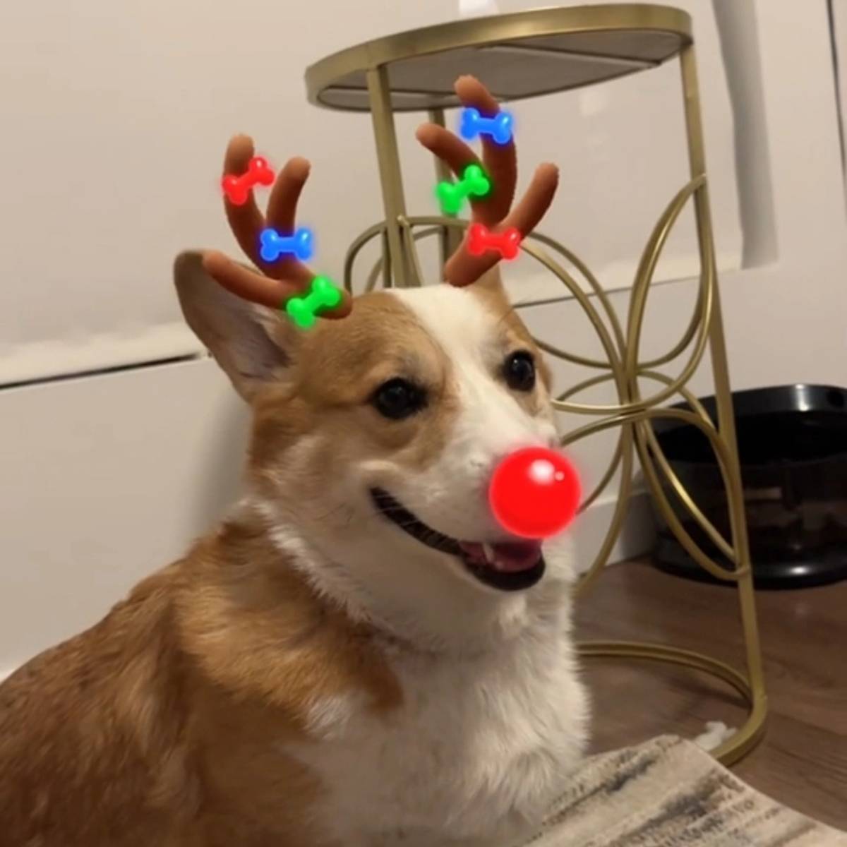 Егор Инфографика