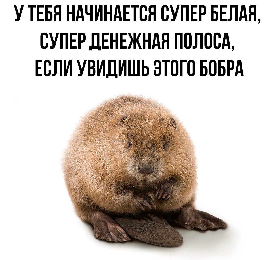 Кстати | Сетка — социальная сеть от hh.ru