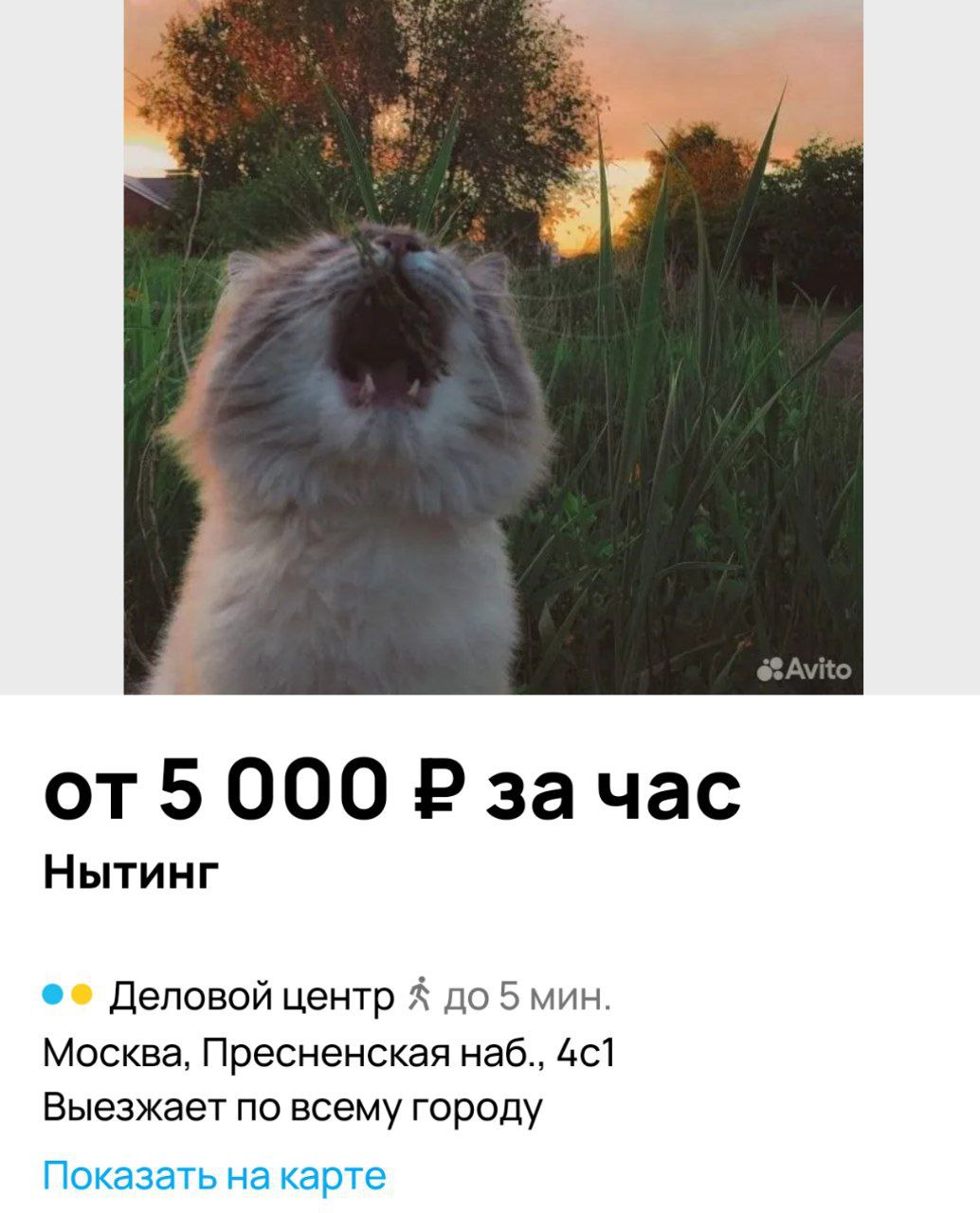 Поныть за пять тысяч рублей в час предлагают в Москве. За такую сумму вас выслушают и не будут давать непрошенных советов | Сетка — социальная сеть от hh.ru