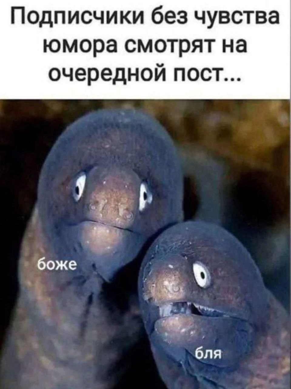 Знаете, как бывает: текст написан правильно, но кажется, что уже тысяча других его читала? Он напоминает машину, работающую по шаблону — без живого звучания и искры | Сетка — социальная сеть от hh.ru