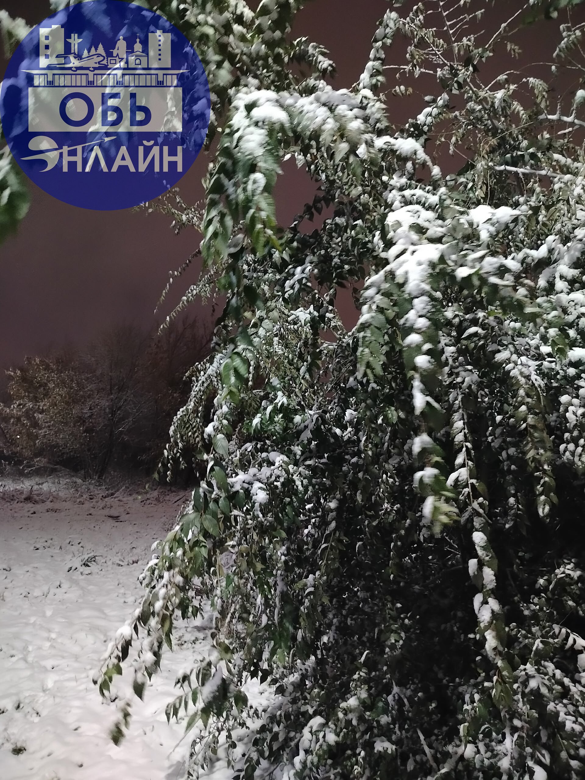 ↗ Доброе снежное утро ❄️❄️❄️ г. Обь
vk.ru
Подробнее на https://vk.com/ob.gorod
#городобь #городобьонлайн #толмачево | Сетка — социальная сеть от hh.ru