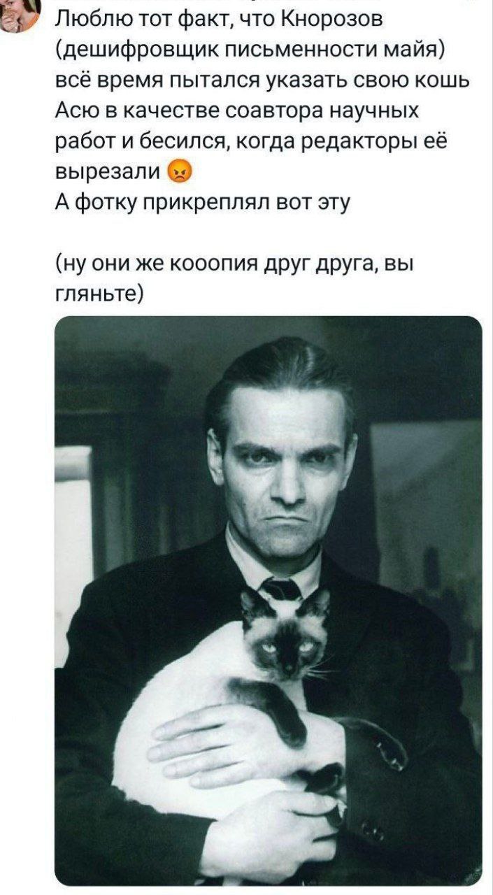 Л - Любовь ❤️😂
#Юмор@poldner #Коты@poldner | Сетка — социальная сеть от hh.ru