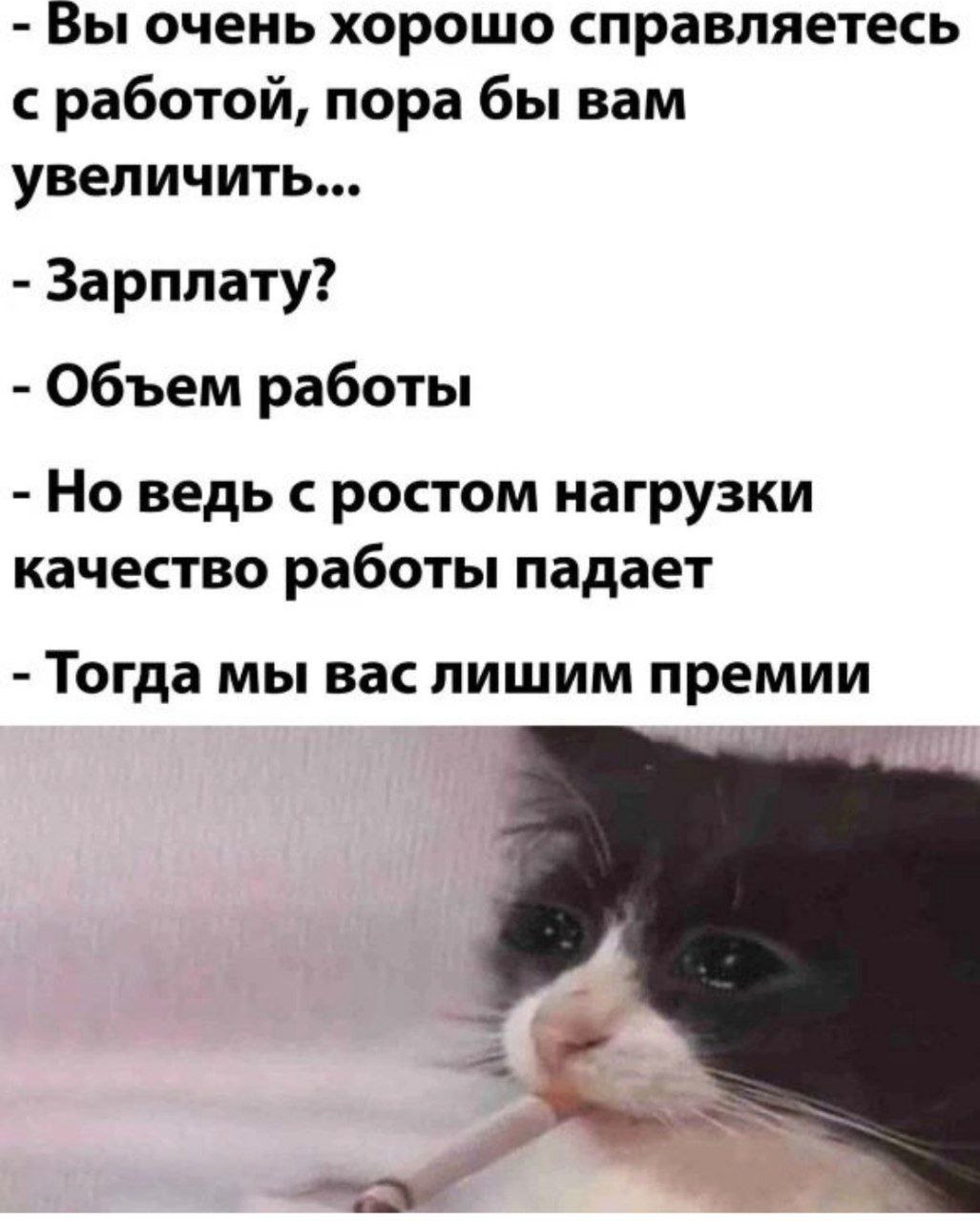Хорошей недели! 👔 | Сетка — социальная сеть от hh.ru