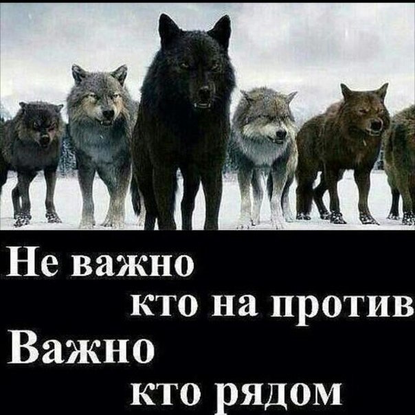 @statusday #ЦитатыСтатус | Сетка — социальная сеть от hh.ru