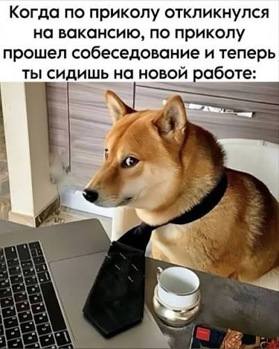 Чистый лист: Когда карьера требует не роста, а перерождения | Сетка — социальная сеть от hh.ru