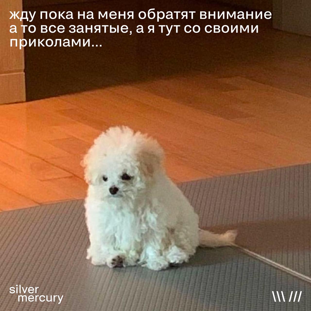 Коллеги, доброе утро
🩶 Редактор напоминает: внимание — лучший kpi для смм-менеджера | Сетка — социальная сеть от hh.ru
