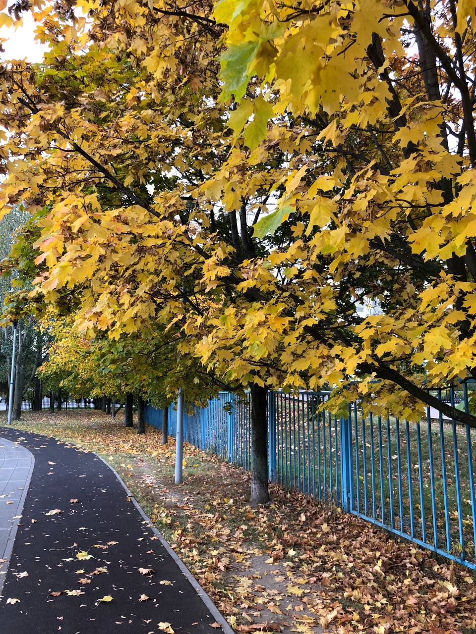 Доброе утро🍂
Всем хорошего дня и отличного настроения. | Сетка — социальная сеть от hh.ru