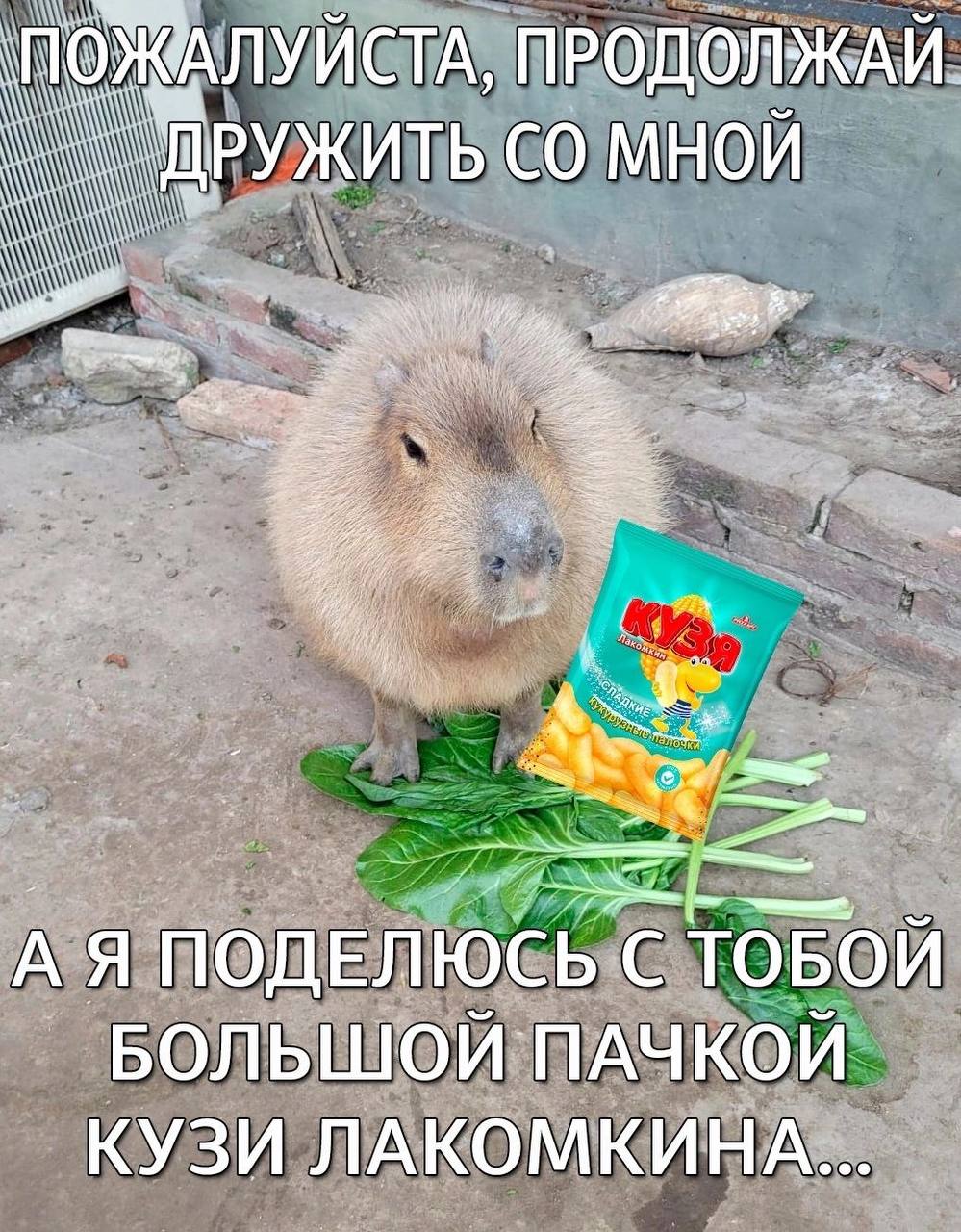 в воскресенье была на воркшопе по шрифтовым сеткам у феди.
в этот раз успела пару букв, мои на втором фото!
особенно ценно, что встреча была группой лично. осенью я особенно скучаю по учебе в универе | Сетка — социальная сеть от hh.ru
