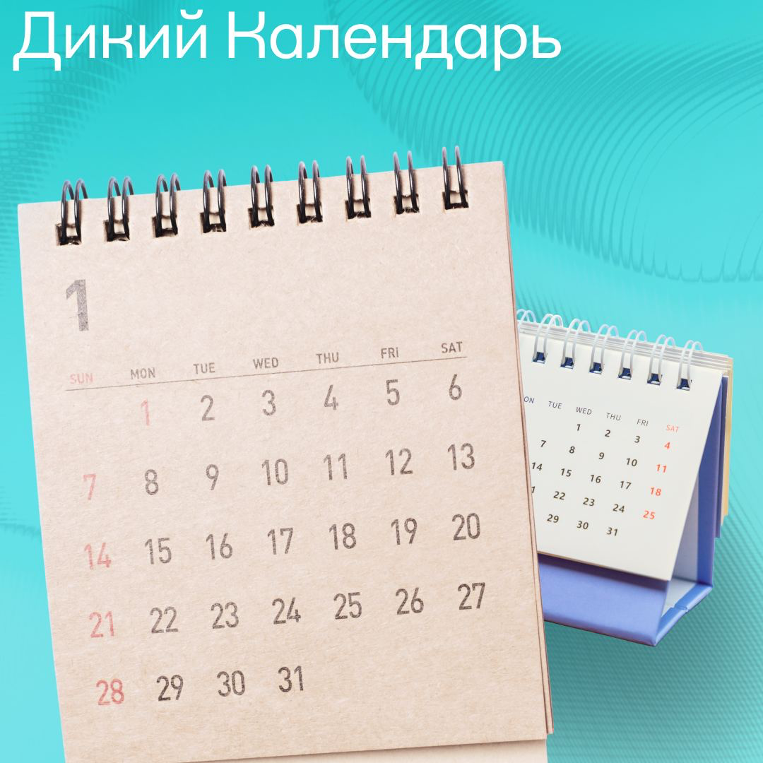 А что выбираете вы? | Сетка — социальная сеть от hh.ru