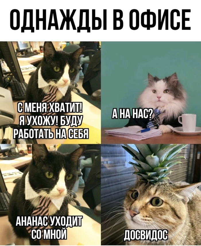 Готов я услышать "... мы не готовы пригласить вас...", но | Сетка — социальная сеть от hh.ru