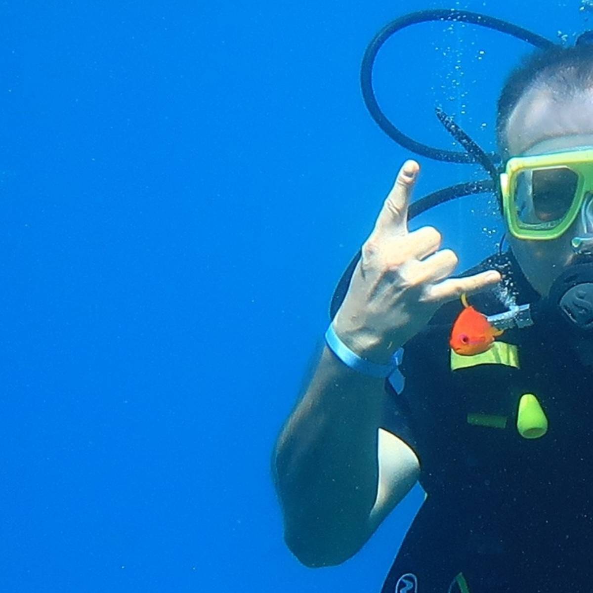 Илья Кашицын | Сетка — социальная сеть от hh.ru