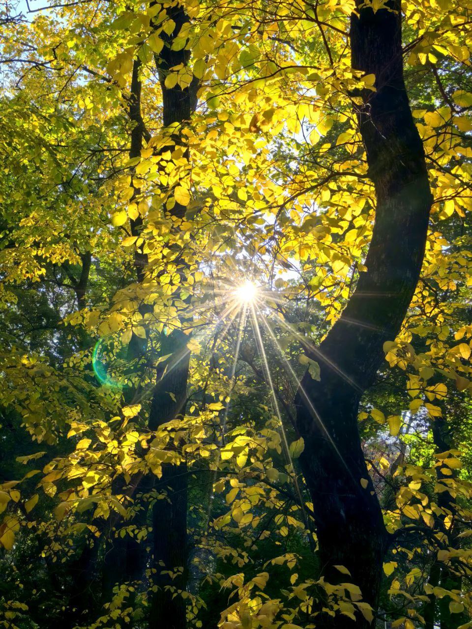 🍂Волшебство ставропольского леса
Осень — это вторая весна, когда каждый лист — цветок.
📸 zarisovki26ru
📲 Что-то на Ставропольском в MAX | Сетка — социальная сеть от hh.ru