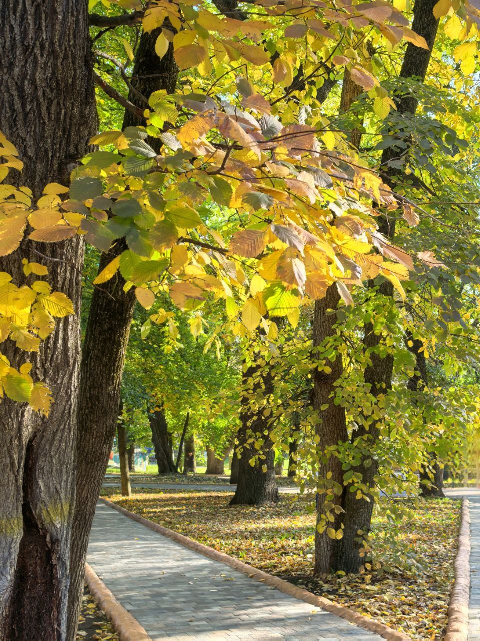 🍂Волшебство ставропольского леса
Осень — это вторая весна, когда каждый лист — цветок.
📸 zarisovki26ru
📲 Что-то на Ставропольском в MAX | Сетка — социальная сеть от hh.ru