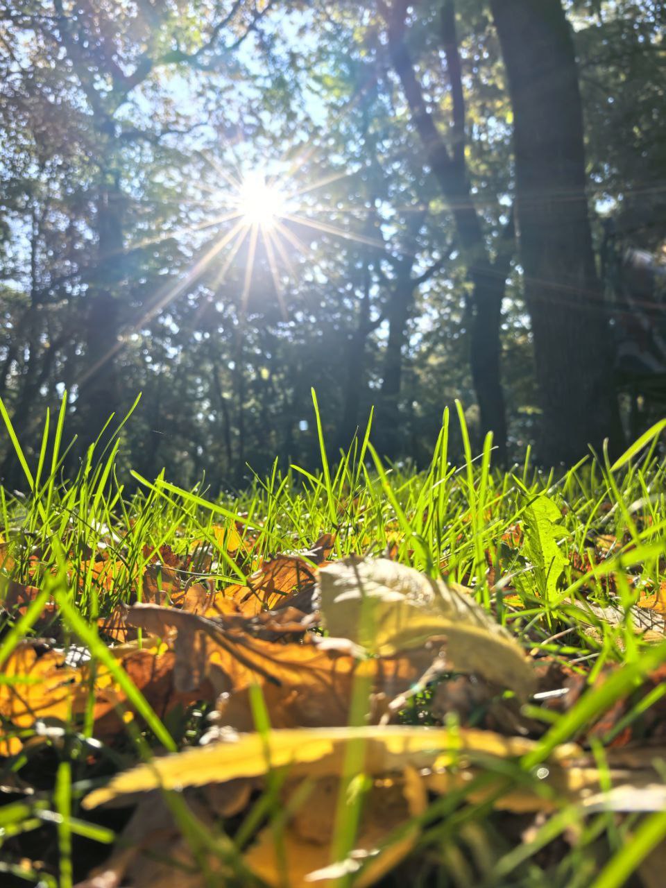 🍂Волшебство ставропольского леса
Осень — это вторая весна, когда каждый лист — цветок.
📸 zarisovki26ru
📲 Что-то на Ставропольском в MAX | Сетка — социальная сеть от hh.ru