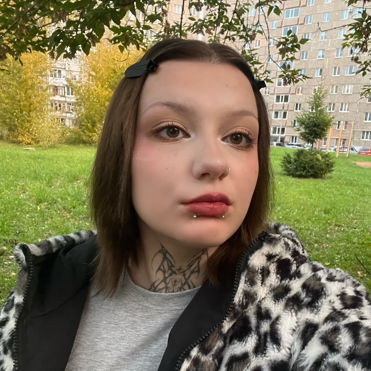 profile avatar