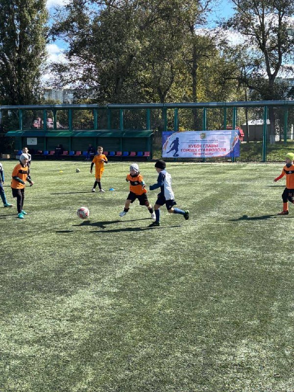 ⚽️ В Ставрополе состоялся первый Кубок главы города по футболу среди мальчиков 2016 и 2017 годов рождения
Более 240 ребят приняли участие в этом турнире | Сетка — социальная сеть от hh.ru