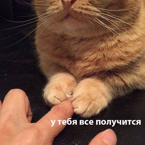 Почему вас зовут на собеседования, но не берут
Частая история: кандидаты легко проходят скрининг, но сыпятся на техинтервью | Сетка — социальная сеть от hh.ru