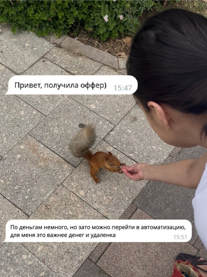 Сейчас, наверное, самый сложный период для QA: вакансий на чисто ручных тестеров очень мало, компаниям нужны люди хотя бы с минимальными навыками в автоматизации | Сетка — социальная сеть от hh.ru