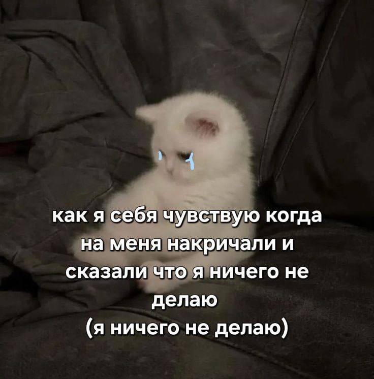 Всё так! | Сетка — социальная сеть от hh.ru