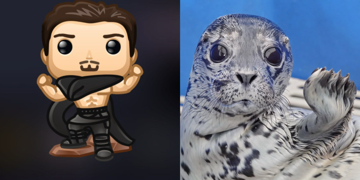 Подарок от телеги | Сетка — социальная сеть от hh.ru