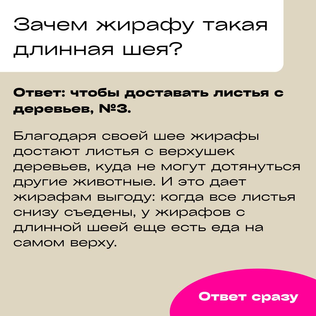 Улучшаем игру о животных
В пятницу вы предлагали свои варианты текста для детской игры-викторины. Благодарю трех участниц: Анну @Adventure4ever, Кристину @chriskonon и Улиточку @Ulitochka22 | Сетка — социальная сеть от hh.ru